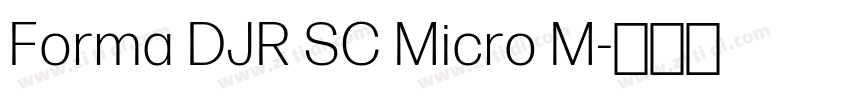 Forma DJR SC Micro M字体转换
